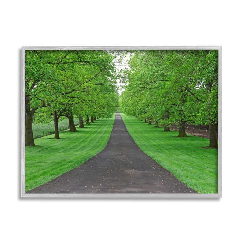 "Stupell Industries Tree Grove Path", art mural sur toile par Dennis Frates, H 16 po x l 20 po x P 1,5 po