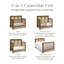 Eloise 4-in-1 Convertible Crib-1635991883