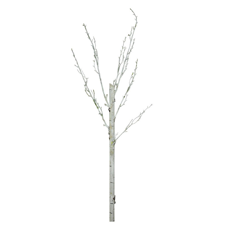 Tronc d'arbre 44 po 44 po