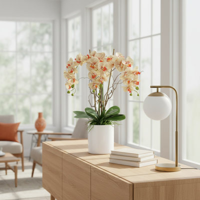Orchids Arranged in Fiberstone Planter