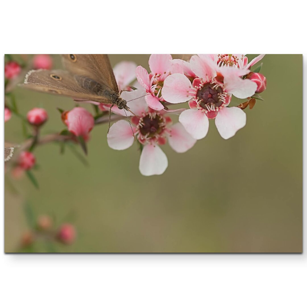 Leinwandbild Rosa blühende Myrtenzweige mit Schmetterlingen