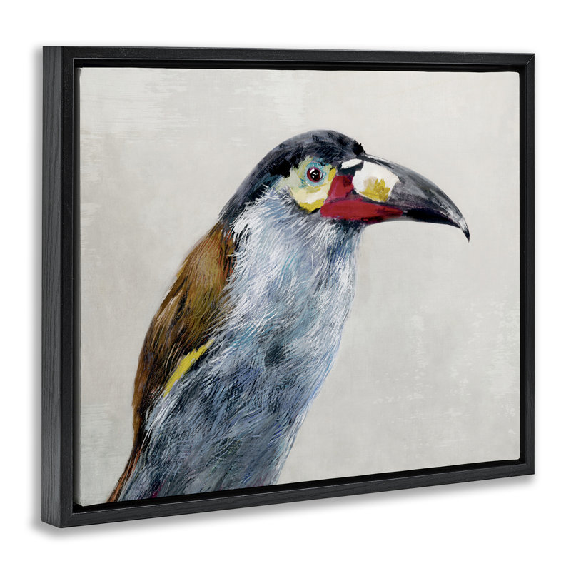 Cadre flottant toucan noir à motif de montagnes, par Jacob Q, Cadre flottant noir de jais, H 17 po x l 21 po