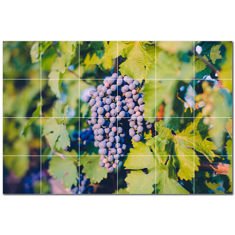 Vin Photo 8 x 8