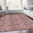 Machine Washable Indoor/Outdoor Xhevrie Blush Rug-1505507737