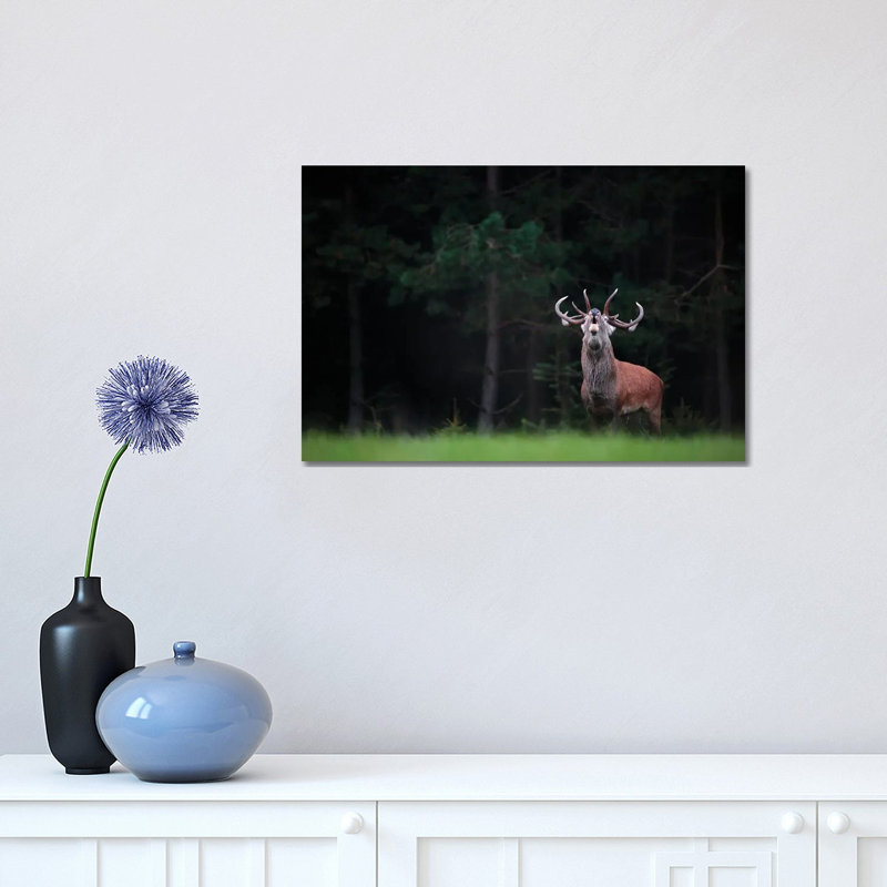 King Of The Forest by Mateusz Piesiak - Wrapped Canvas Print, 30.48 cm H x 45.72 cm W