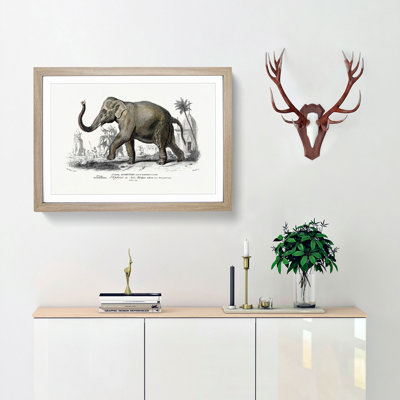 Asian Elephant 1 Piece Single Picture Frame Painting