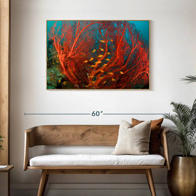 Corail de feu, Cadre flottant en bois naturel, 43 po x 29 po