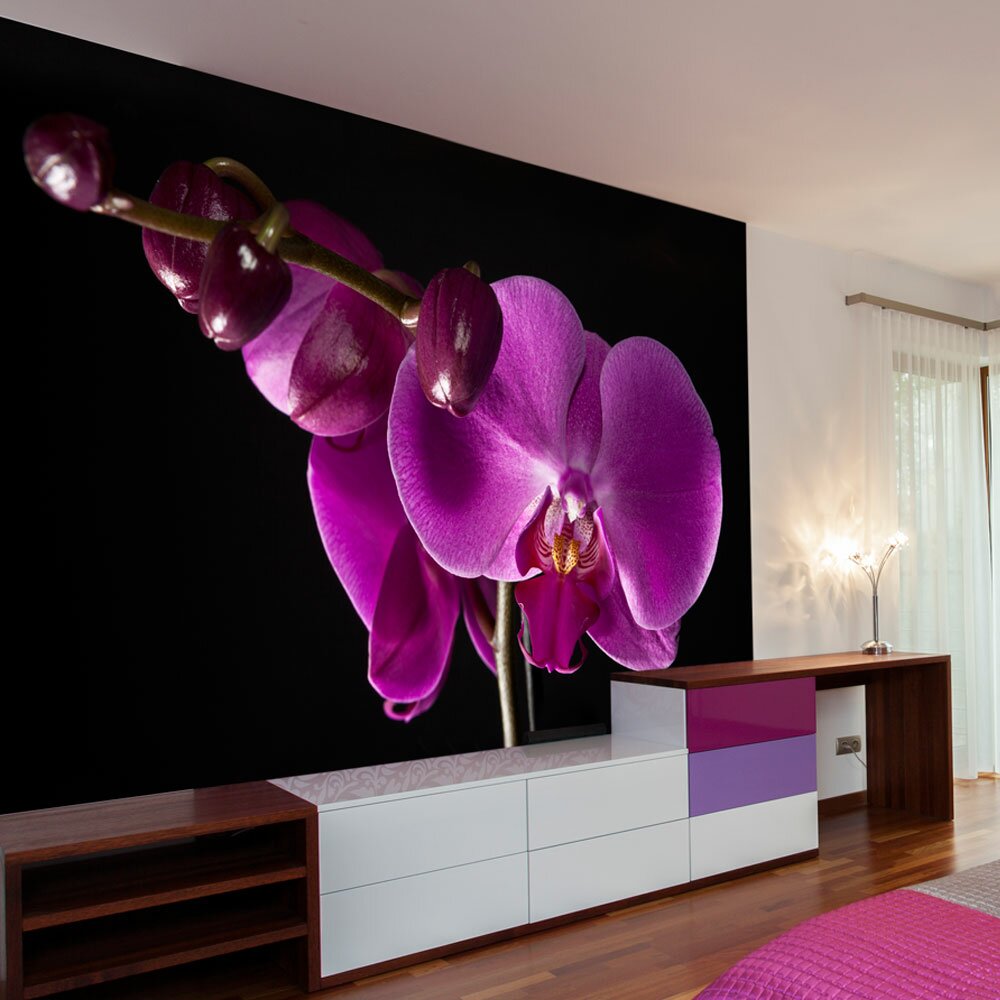 Fototapete elegant  Orchidee 309 cm x 400 cm