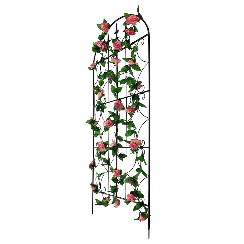 Polson 162.5cm H x 71cm W Metal Arched Trellis