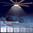 Modern 65'' Double-Sided Blade Windmill Large Ceiling Fan with Dimmable 3CCT LED Lights and Remote Control, 6-Speed Reversible DC Motor, Timer, 4"/10" Downrods, for Indoor/Covered Outdoor-724979339