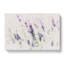 A Field Of Lavender - Wrapped Canvas-56665087