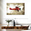Mehar Biplane III