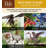 Luster Metal Animated Rocker Stake Balanced Garden Decorative Stake - Dragon