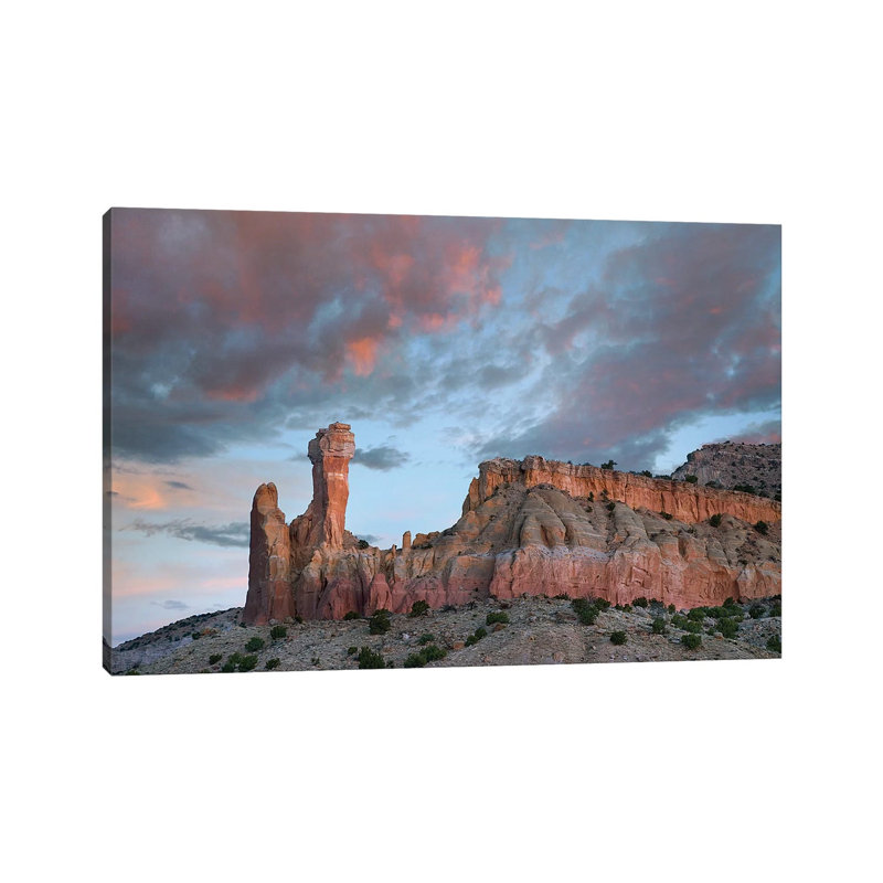 Pine Tree At Night, Mount , Wichita Mountains Nwr, Oklahoma 1 Piece Wall Art on Canvas