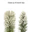 Couronne d'épinette floquée 32 po
