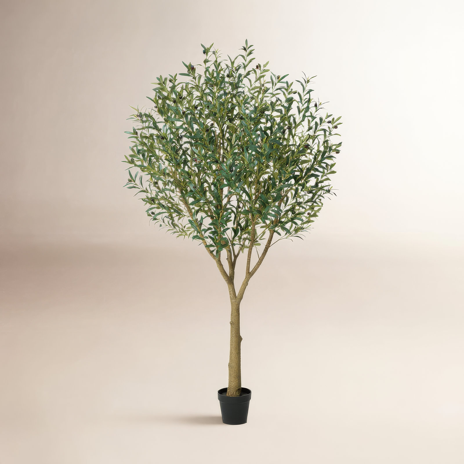 George Olive Tree in Pot, 84" H x 28" W x 28" D