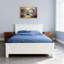 Scène de banc avec sentier floral-442267690-442267691-442267685