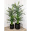 Faux palmier en pot-2140227808