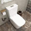 Toilette allongée 1 pièce à double chasse 1,1 / 1,6 GPF avec siège blanc incluse
