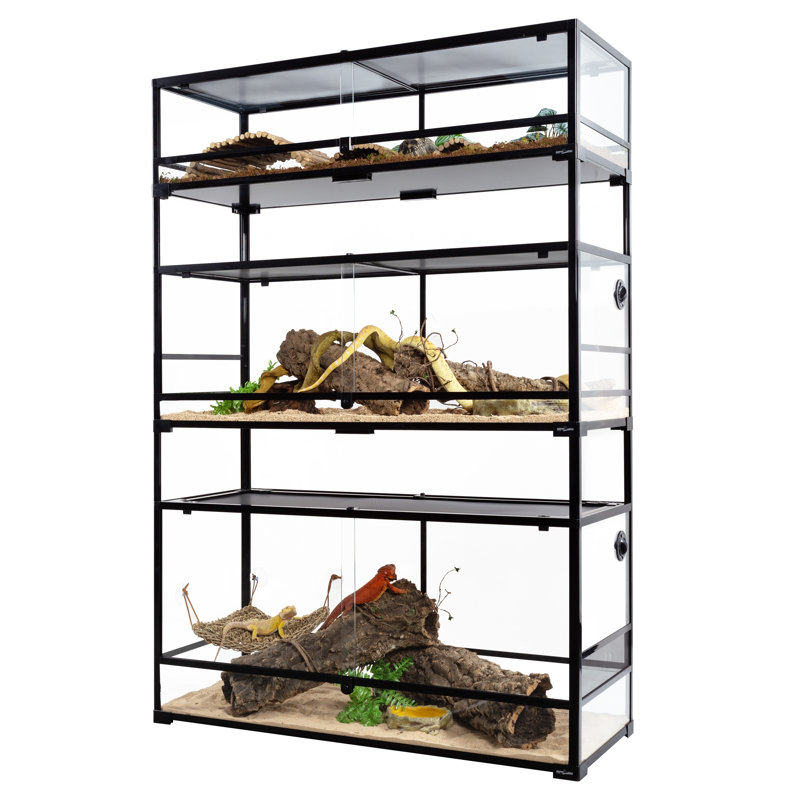 Reptile Starter Kit