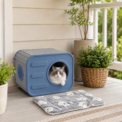 Maison d'extérieur et d'intérieur pour chat