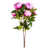 Cerise