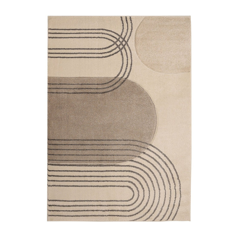 Tajmere Oriental Area Rug, Rectangle 160 x 230cm