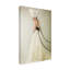 Art sur toile, coquille d'escargot-109321369