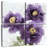 Harnek Purple Bloom I