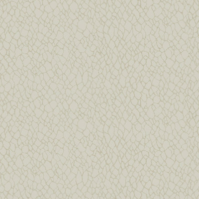 Boutique Metallic Webbing Wallpaper Roll