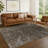 Machine Washable Indoor/Outdoor Chantille ACN2322 Global Rug-1575365810