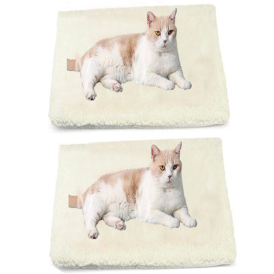 Drayke Lambswool Pet Bed