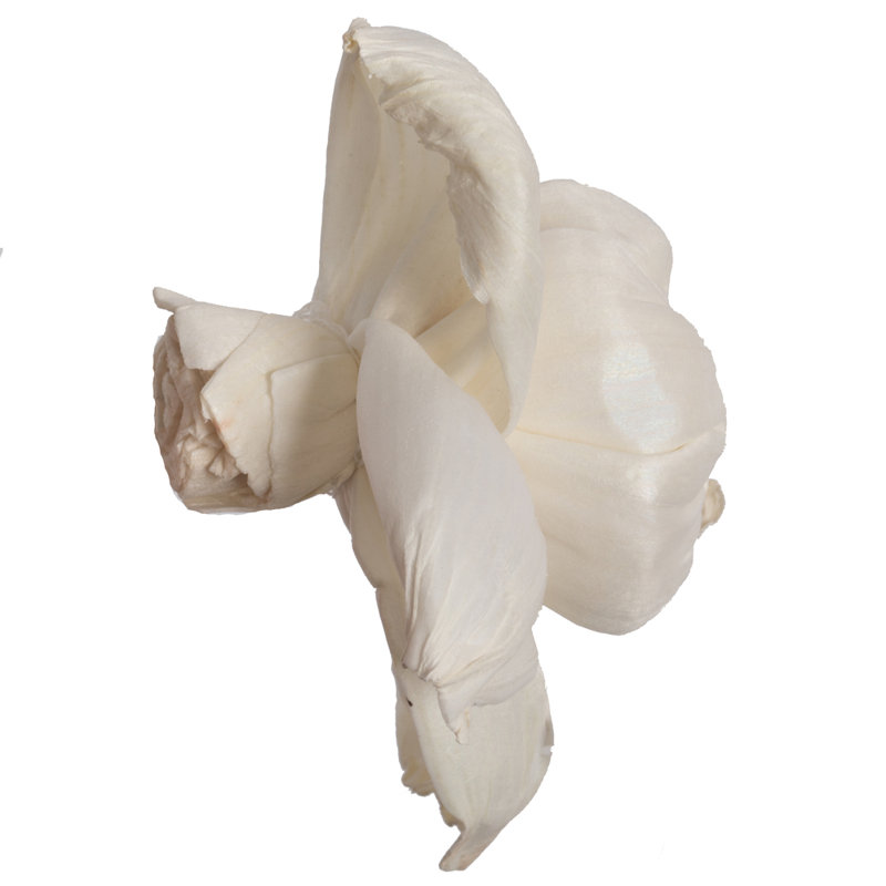 Preserved Rosette Arrangement