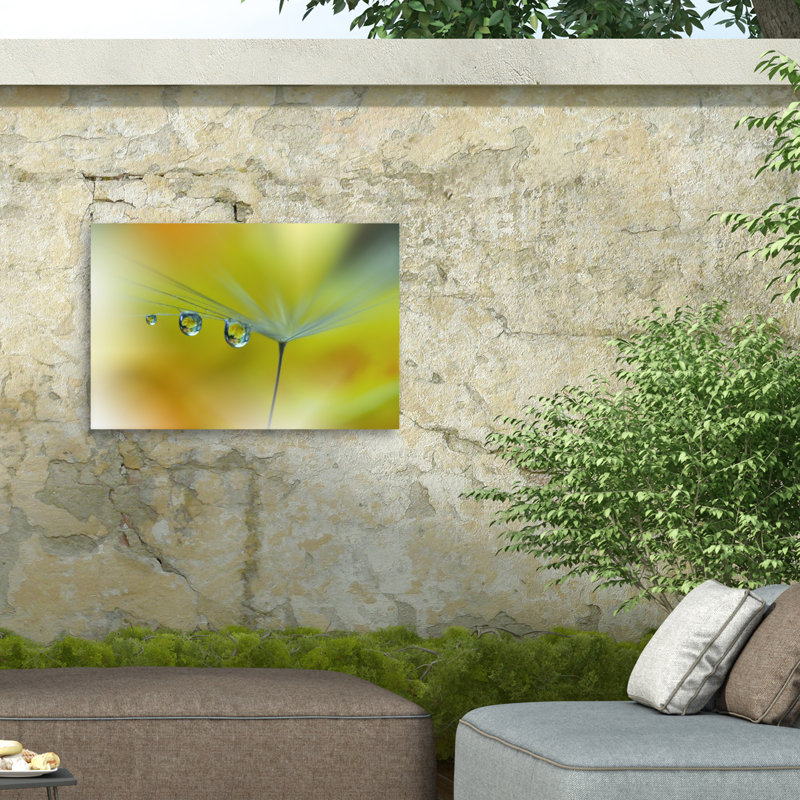 Sunbeam III sur toile par Juliana Nan, reproduction, H 22 po x l 32 po