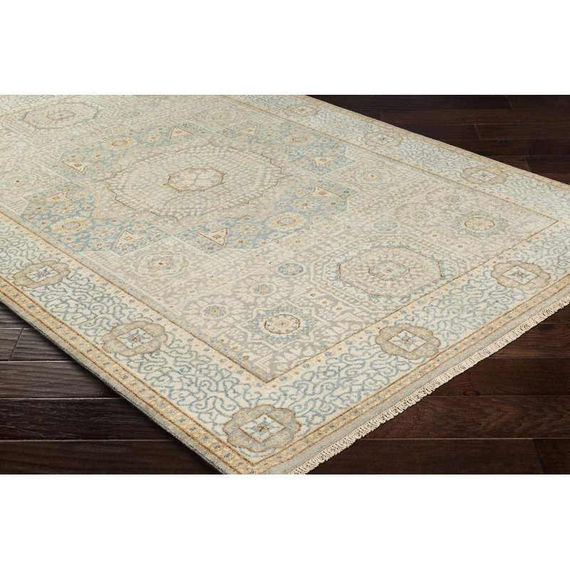 Didimo Wool Oriental Area Rug, Rectangle 2' x 3'