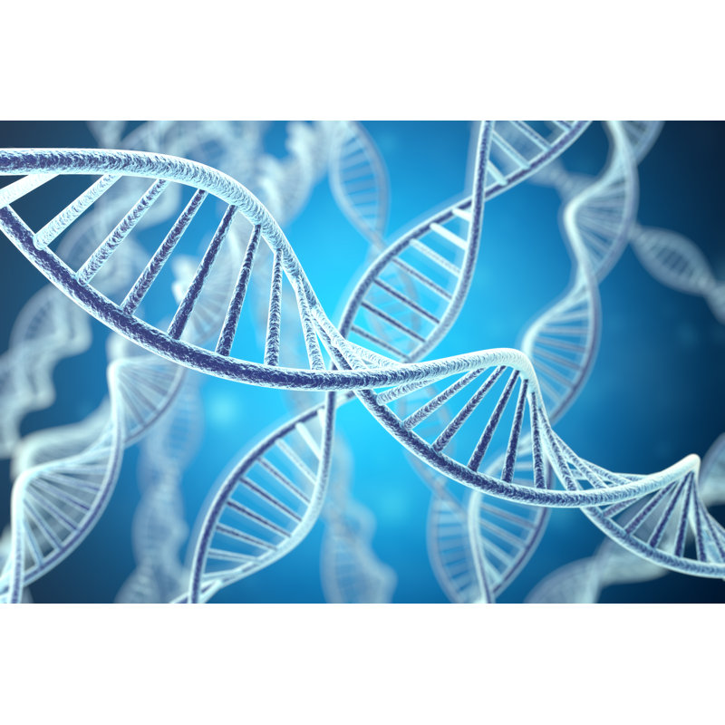 DNA Structure by Rost-9D - Wrapped Canvas Print, 81cm H x 122cm W
