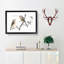 Tail Tit Birds by Johan Teyler - Framed Print-55729694-55729691