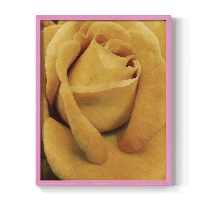 «Soft Flower Petals IV», reproduction encadrée - bois massif, H 11 po x l 9 po, Rose