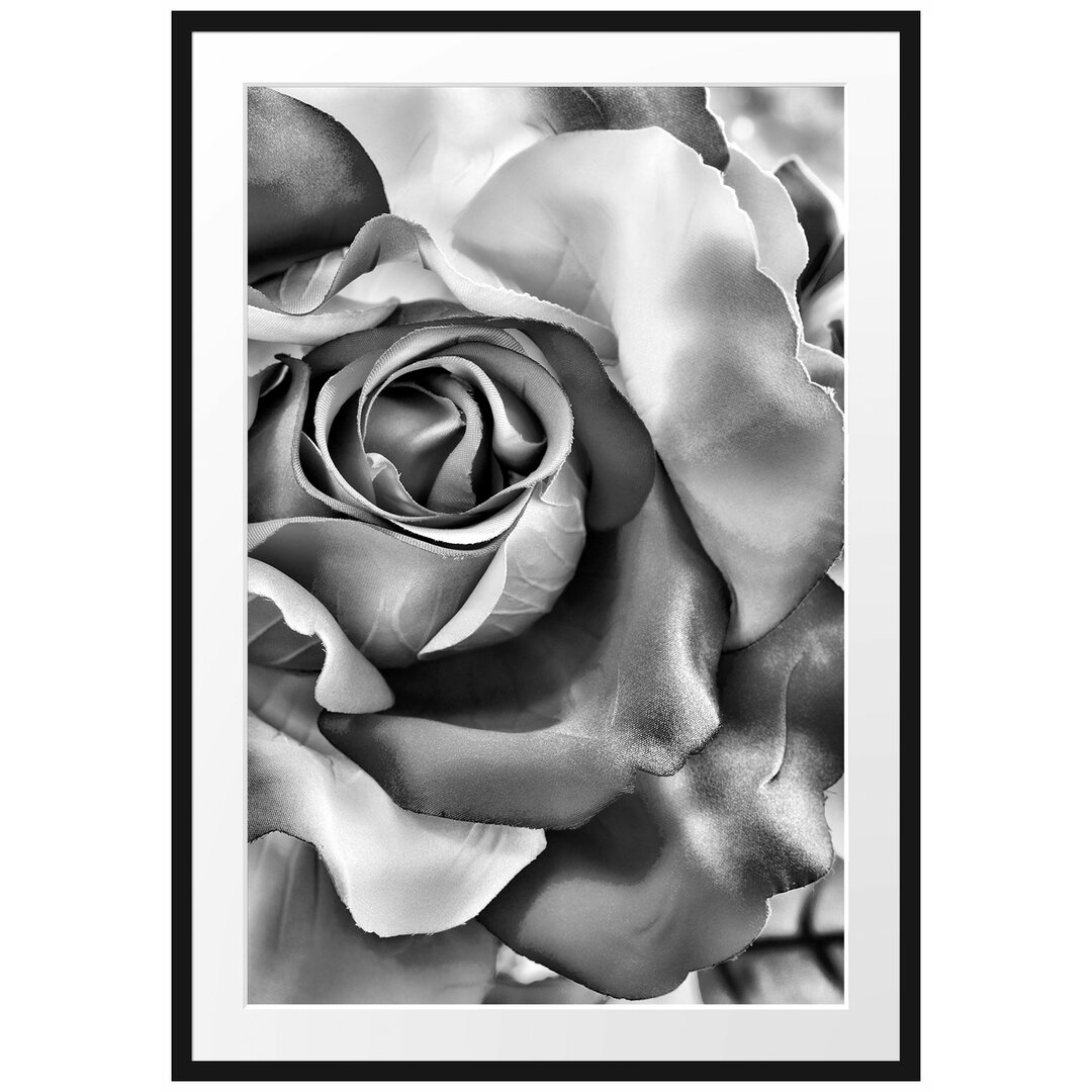 Gerahmtes Poster Bunte Rosen