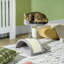 18" Cat Scratching Tree Kitty House with Hanging Toy (Grey)