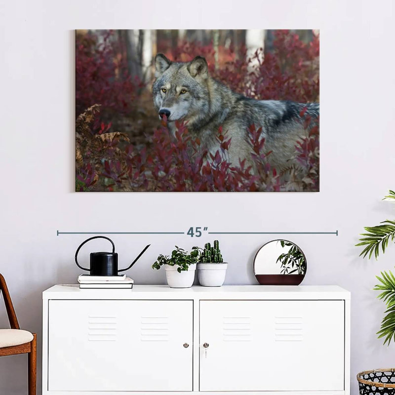 Loup gris Brampt