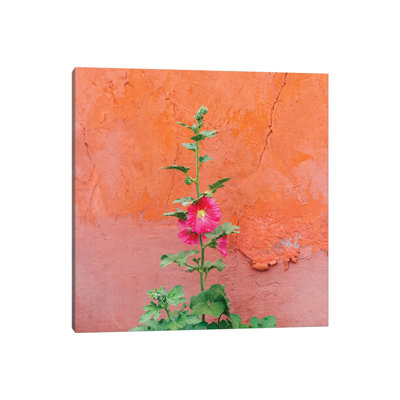 " Santa Fe Flowers II " by Bethany Young