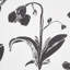 Schumacher x Hera Ford Orchids Have Dreams Fabric-72551644