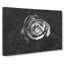 Rose Rodion Kutsaev - Wrapped Canvas-56637883
