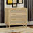 Aidelyn Accent Chest-848795981
