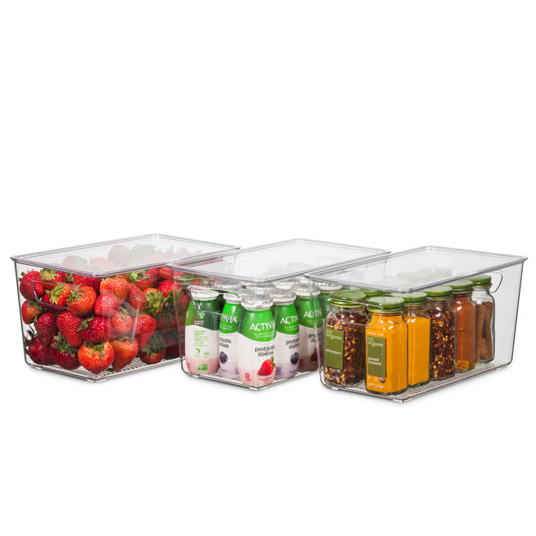 Prep & Savour Caydan Set of 12 Fridge Bin & Reviews