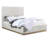 Citori Upholstered Panel Bed-89227956-89227957