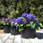 Nina Handmade Metal Pot Planter-121457706