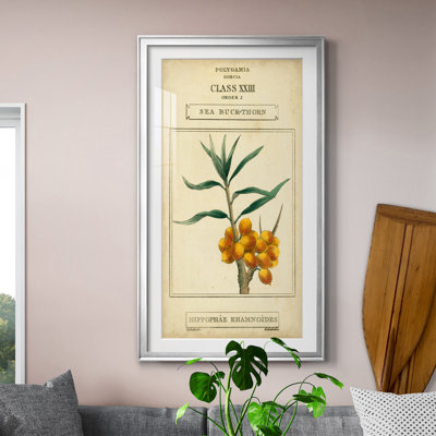 Linnaean Botany III - Peinture sur toile encadrée