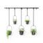Hanging Planter with 5 pots-70896950